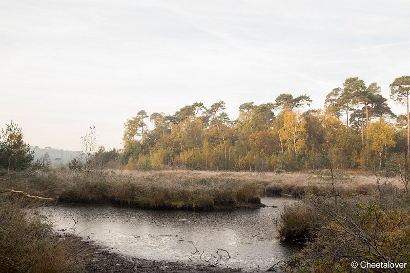 _DSC0117.JPG - Oisterwijkse Vennen en Plassen