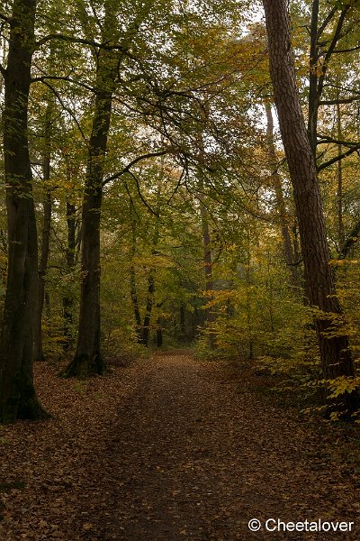 _DSC0120.JPG - Oisterwijkse Vennen en Plassen