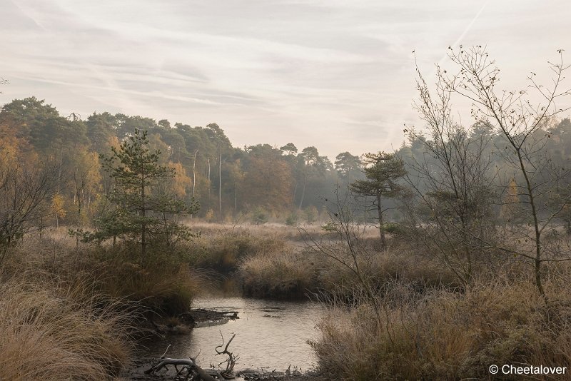 _DSC0124.JPG - Oisterwijkse Vennen en Plassen