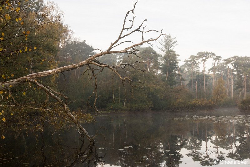 _DSC0135.JPG - Oisterwijkse Vennen en Plassen