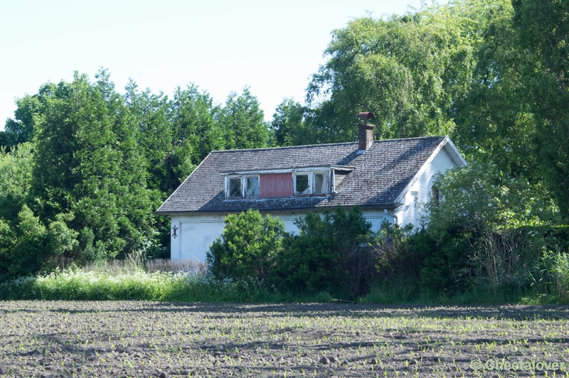 DSC08047.JPG - Plaatsje Doel in België