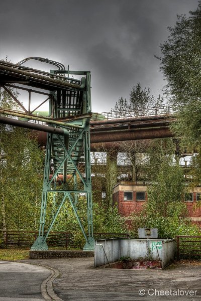 _DSC8281_2_3.JPG - Landschafspark Duisburg