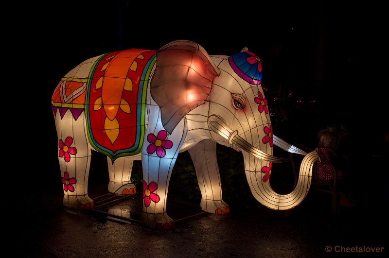 _DSC3140.JPG - China Lights in Burger's Zoo