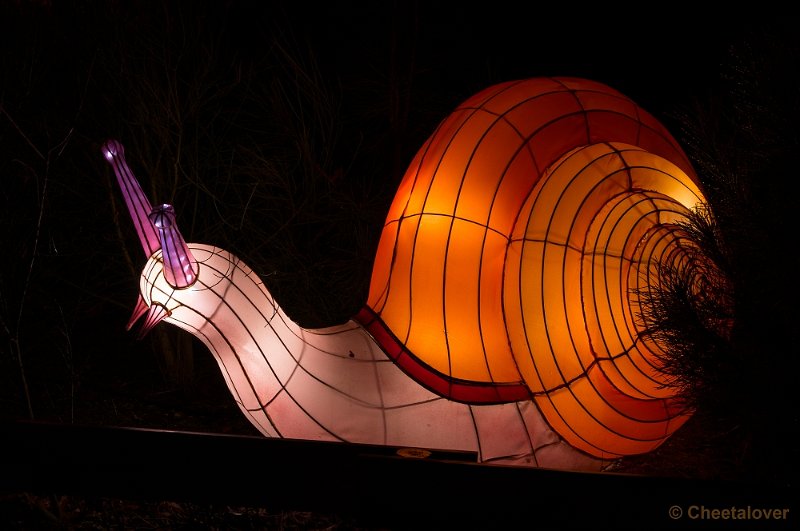 _DSC3248.JPG - China Lights in Burger's Zoo