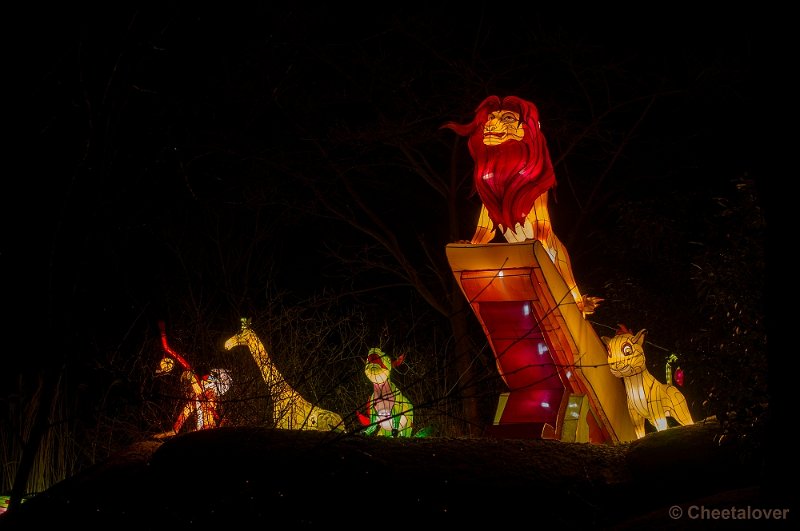 _DSC3256.JPG - China Lights in Burger's Zoo