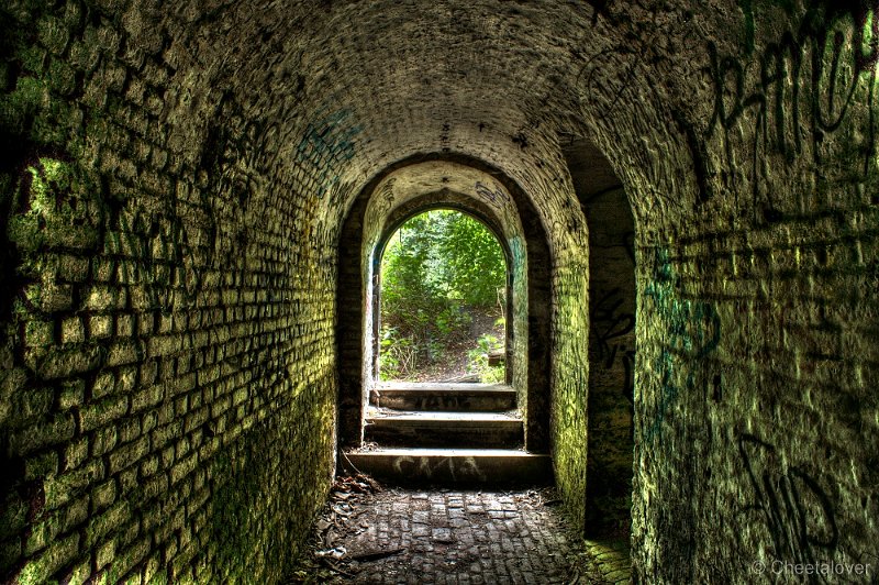 _DSC5280_1_2.JPG - Fort Chartreuse