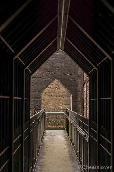 _DSC0074.JPG - Landschaftspark Duisburg Day