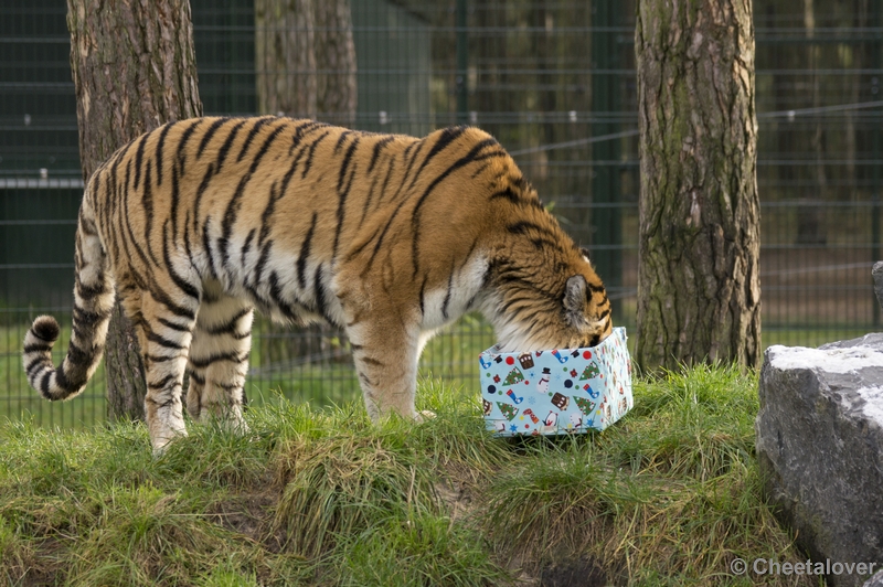 _DSC6063.JPG - Zit er misschien nog een Flappie in het pakketje verstopt?