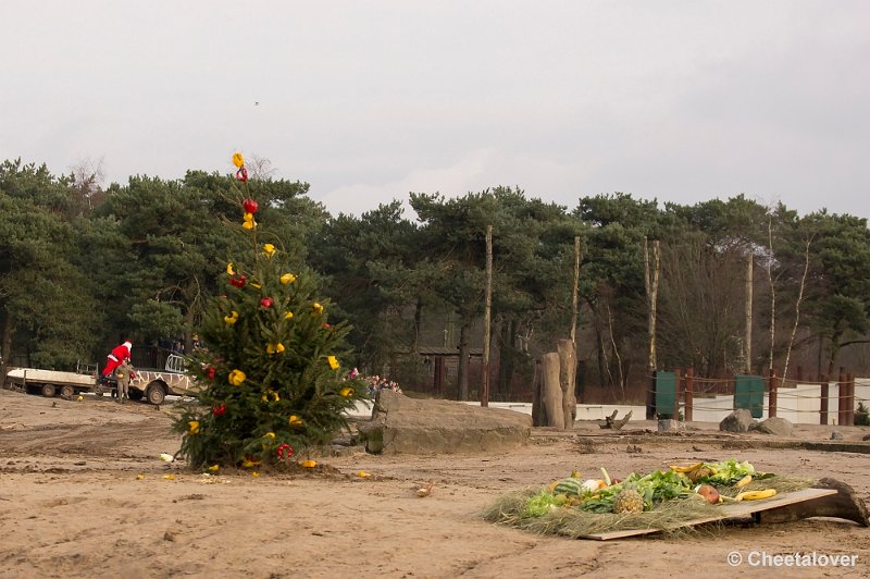 _DSC6239.JPG - Het Kerstdiner voor de Mantelbavianen en Afrikaanse Olifanten