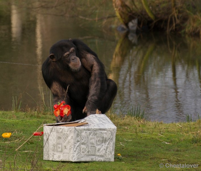 _DSC1533.JPG - 's kijken wat hier in zit