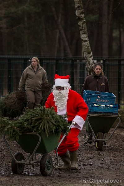 _DSC0127.JPG - De Kerstman aan het werk voor het kerstdiner voor de Nijlpaarden en Sitatoenga's