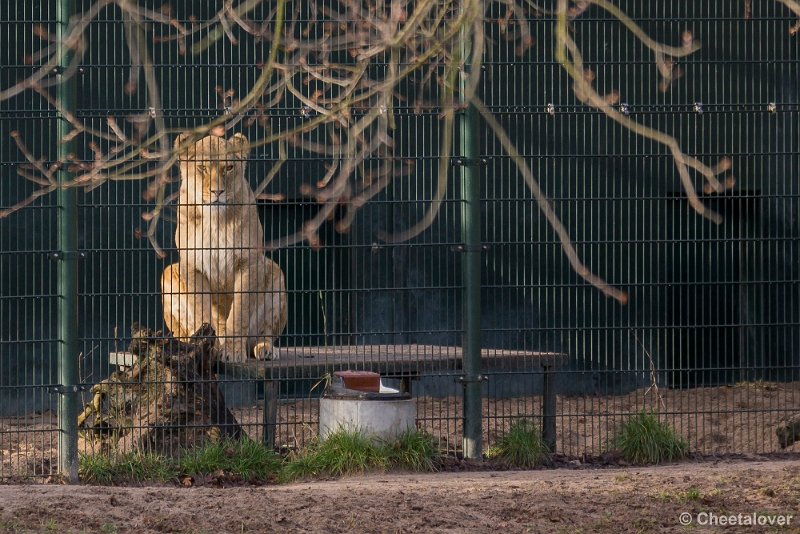 _DSC0003.JPG - Wat is hier anders vandaag?