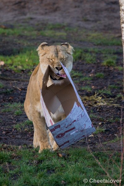 _DSC0029.JPG - Grrr...helemaal niets